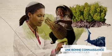 Minature vidéo Full Motion design FFEM, réalisation Agence Satellite