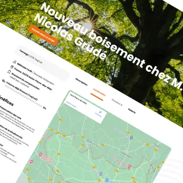 Template UI/UX Carbonapp