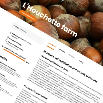 Template application web Carbonapp