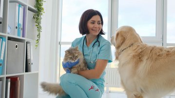 Extrait film motion design Groupe Zolux