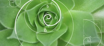 Film corporate Colas